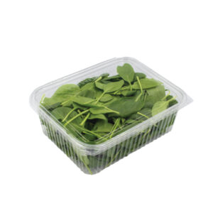 Baby Spinach