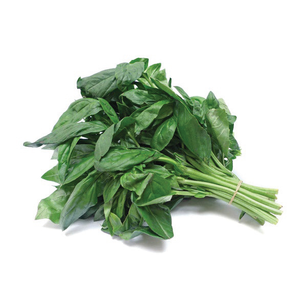 Basil
