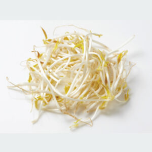 Bean Sprout