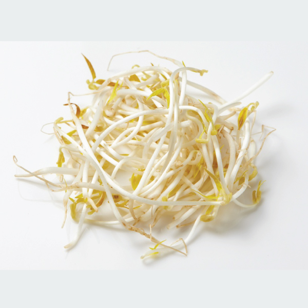 Bean Sprout