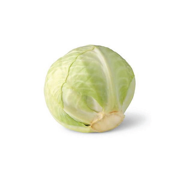 Cabbage white
