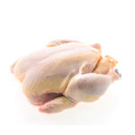 X Layers Chicken 1 Piece