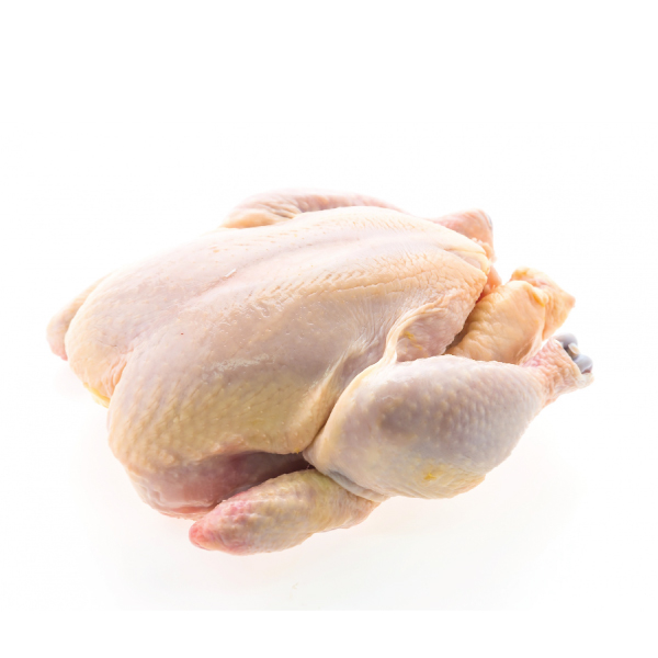 Chicken X Layers Chicken 1 Piece - Image 1