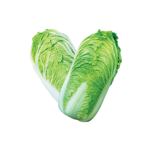 Chinese-Cabbage Chinese Cabbage