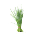 Chives