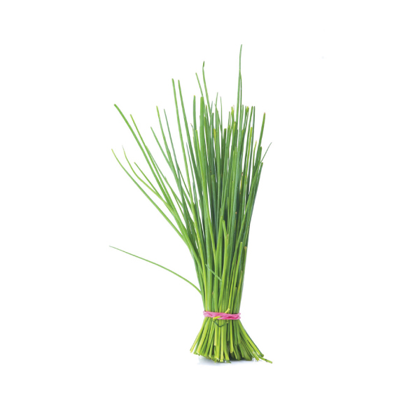 Chives Chives