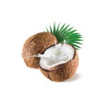 Coconut