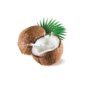 Coconut
