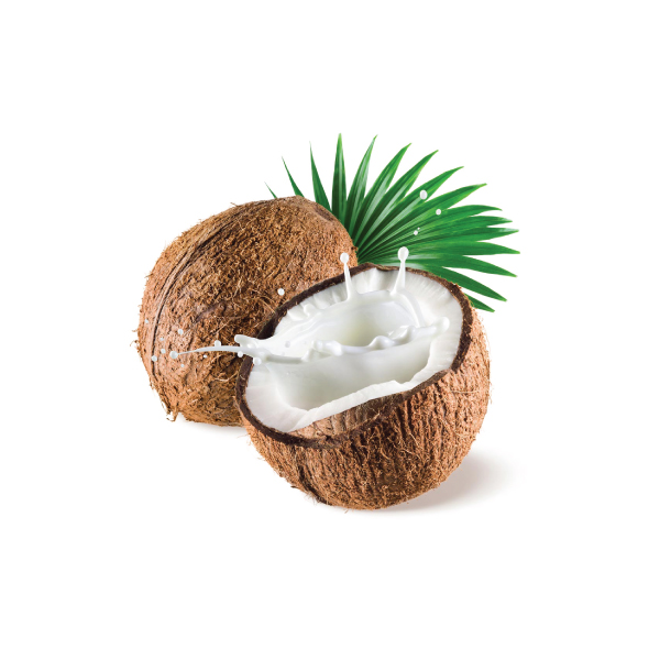 Coconut Coconut