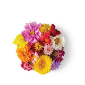 Edible Flowers