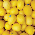 Imported Lemon - Image 2