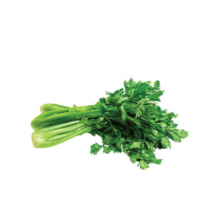 Fresh celery