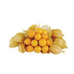 Gooseberry