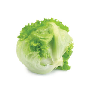 Hard Lettuce