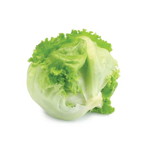 Hard-Lettuce Hard Lettuce
