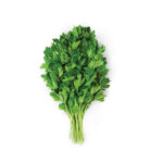Italian Parsley