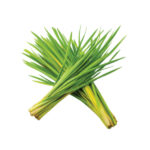 Lemon Grass