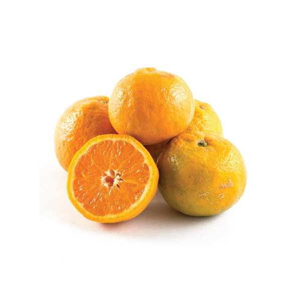Orange-pixies Orange pixies