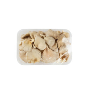Oyster mushroom
