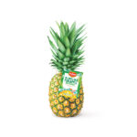 Del Monte Pineapple