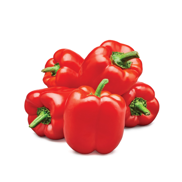 capsicum