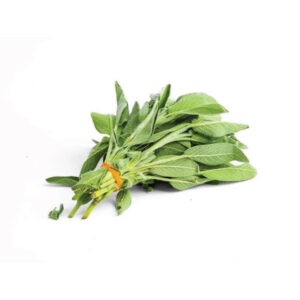 Sage