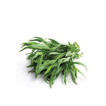 Tarragon