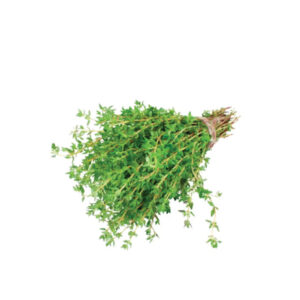 Thyme