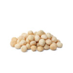 Macadamia - Image 2